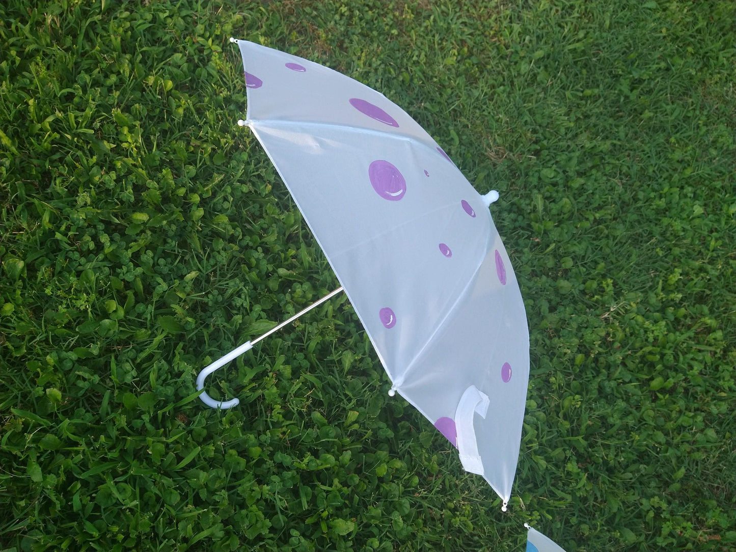 Sunbrella
