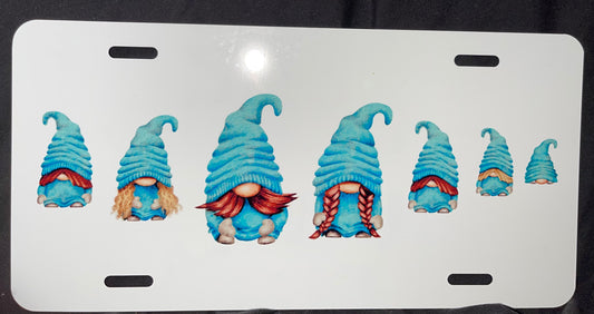 Custom sublimation license plate